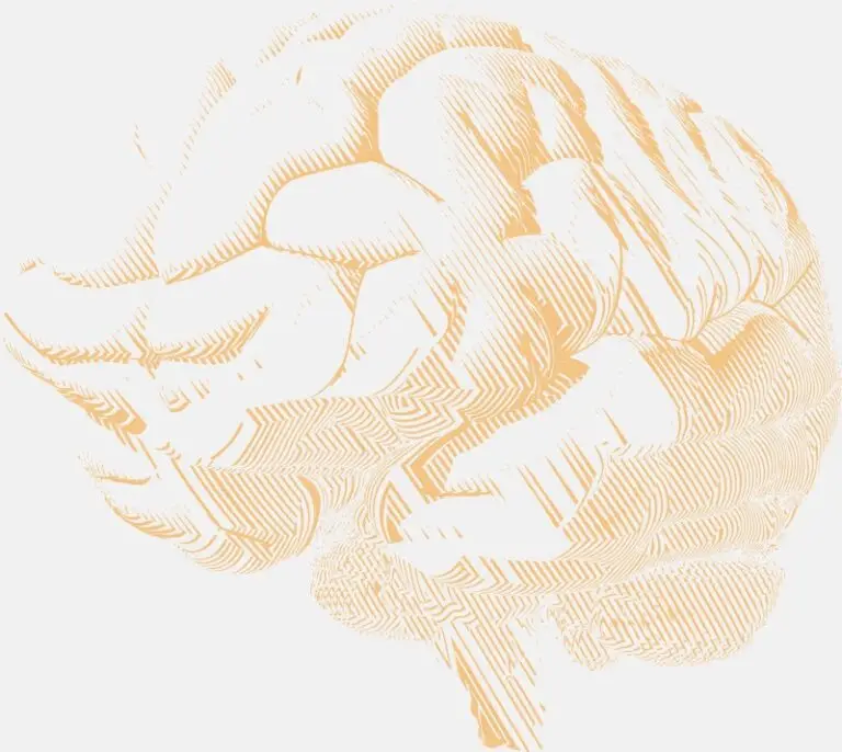 brain-illustration